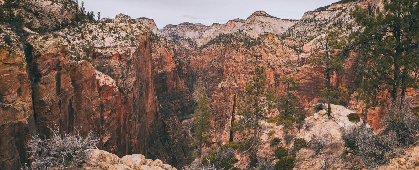 Photo - USA - Zion NP #6